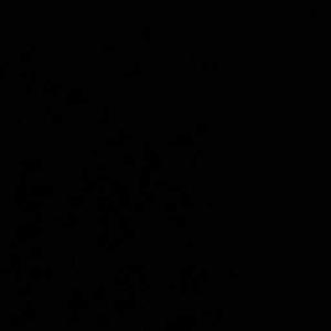 She_the_Circe logo