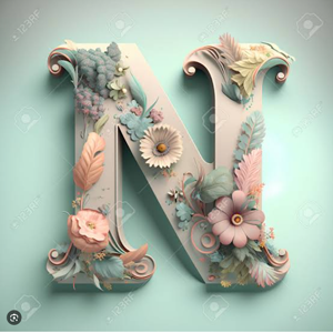 NIRMALA CHOUDHARY logo