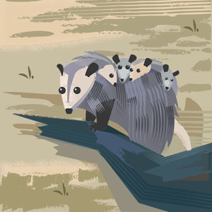 Vaishnavi Prasad logo