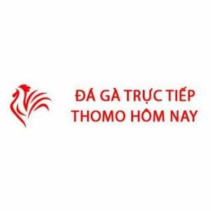 Đá gà Thomo