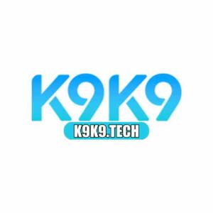 k9k9tech