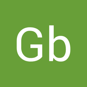 Gb Verma logo