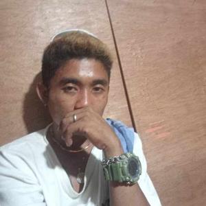 Villanueva Paul logo