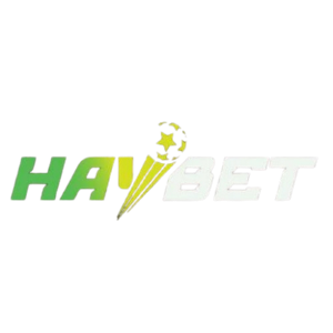 Haybet66 cncom logo
