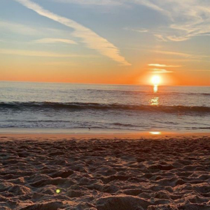 Katherine Petrov logo