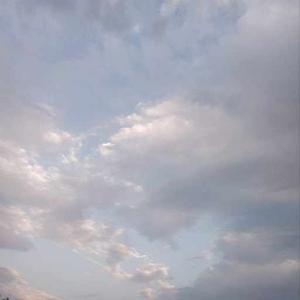 Himanshi Sharma logo