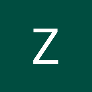 Zainab Sultan logo